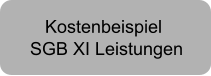 KostenbeispielSGB XI Leistungen