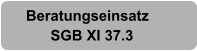 Beratungseinsatz       SGB XI 37.3